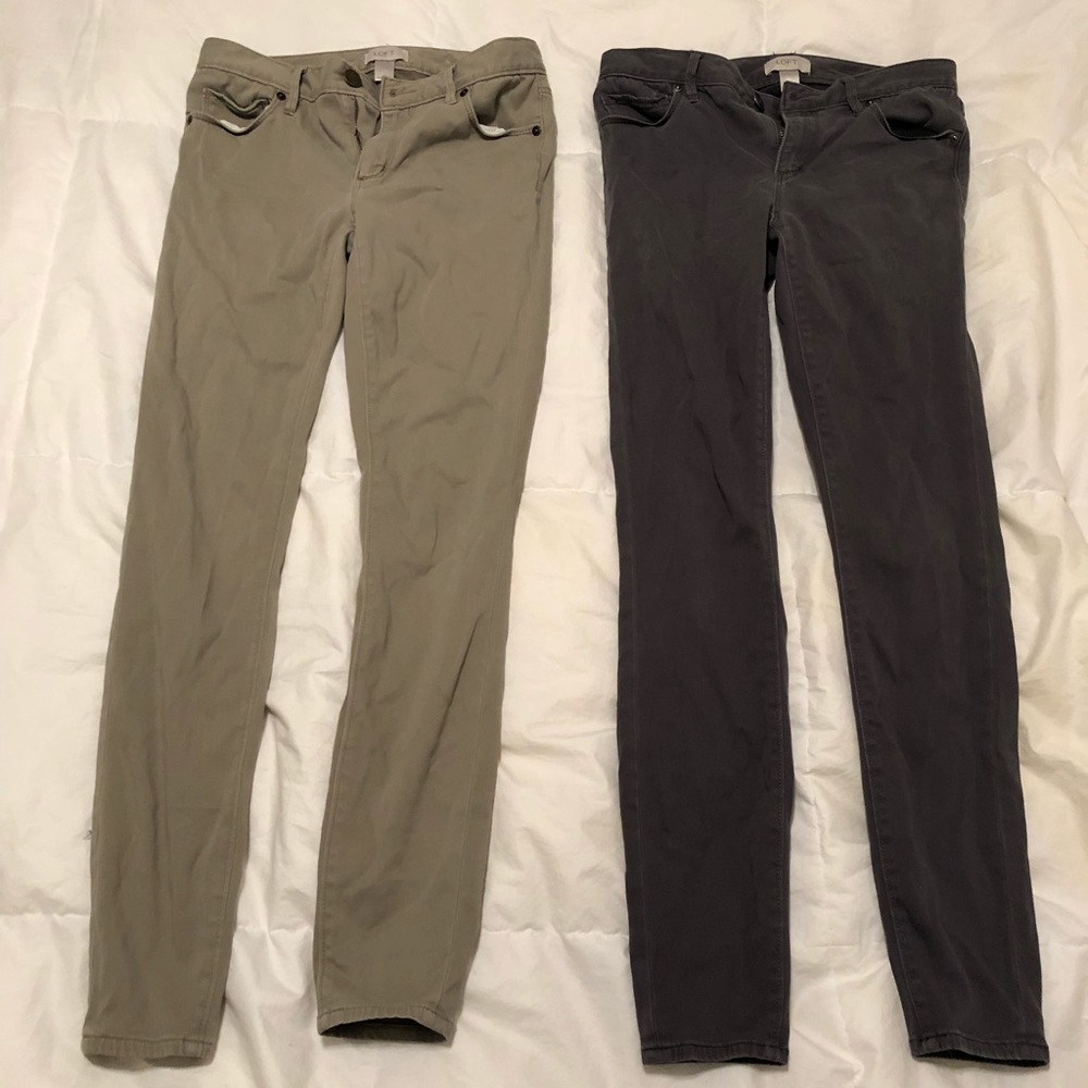 Ann Taylor loft pants set